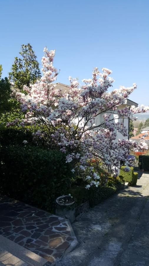 Nel Giardino Di Oz Bed & Breakfast Fornovo di Taro Bagian luar foto